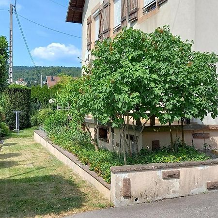 Studio D'Hotes A 10 Km De Gerardmer Le Tholy Dış mekan fotoğraf