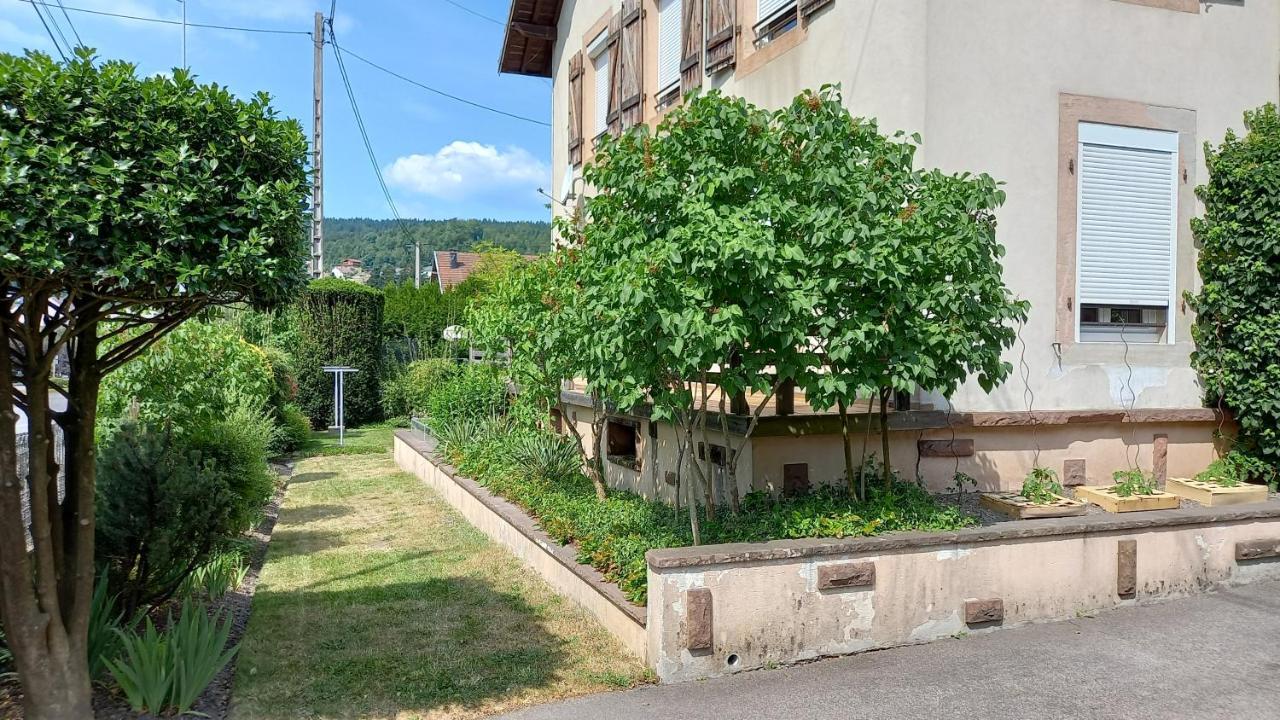 Studio D'Hotes A 10 Km De Gerardmer Le Tholy Dış mekan fotoğraf